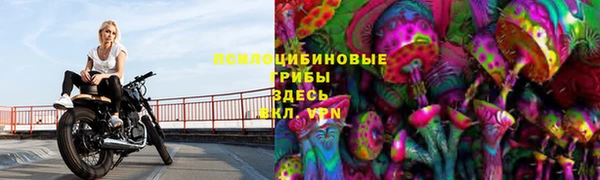 прущие крисы Нея