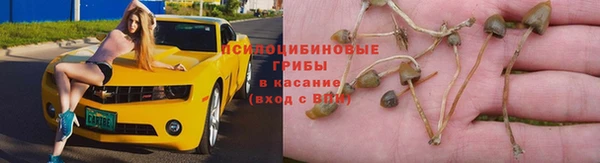 первитин Новозыбков