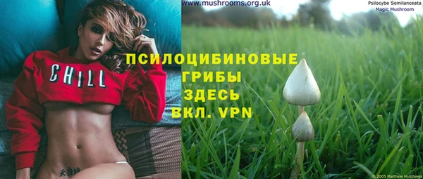 первитин Новозыбков