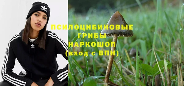 первитин Новозыбков