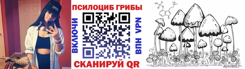 Галлюциногенные грибы прущие грибы Пугачёв
